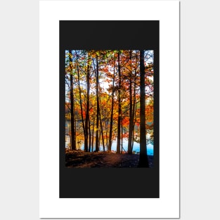 Colorful Contrasted Trees Posters and Art